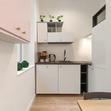 Kamienica Centrum Nr 10 Apartamento