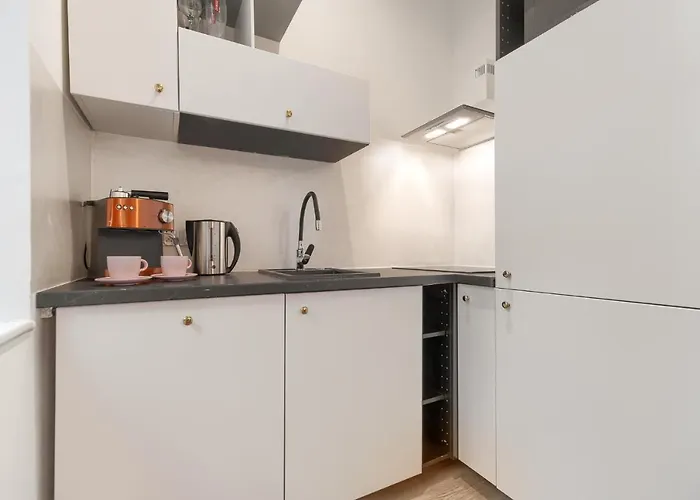 Kamienica Centrum Nr 10 *